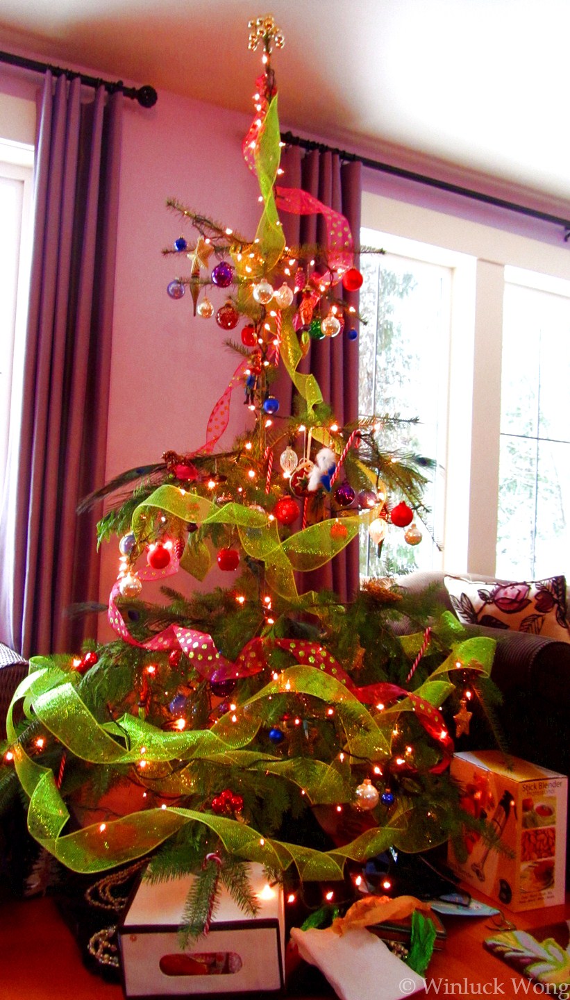 Charlie-Brown ugly Christmas tree photo for "Holidays" poem by New Brunswicker writer of poetry, Winluck Wong